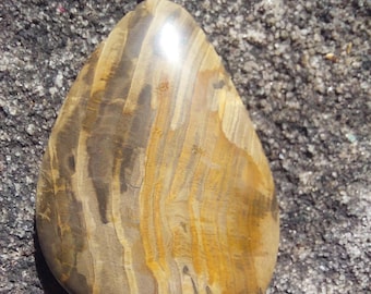 Versteinertes Holz Anhänger, Einzigartiger Versteinerter Edelstein Anhänger, Versteinertes Holz Handwerker Anhänger, Versteinertes Holz Boho Halskette, Boho Fossil Anhänger