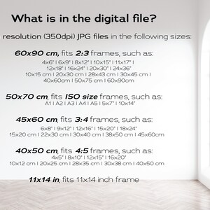 May include: A white wall with text describing the different sizes of digital files available for purchase. The text includes measurements in centimeters and inches. The text also includes the aspect ratios of the different sizes. The wall is in a room with a large arched window.