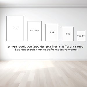 May include: Five high-resolution JPG files in different aspect ratios: 2:3, ISO size, 3:4, 4:5, and 11x14 inches. The files are 350 dpi.