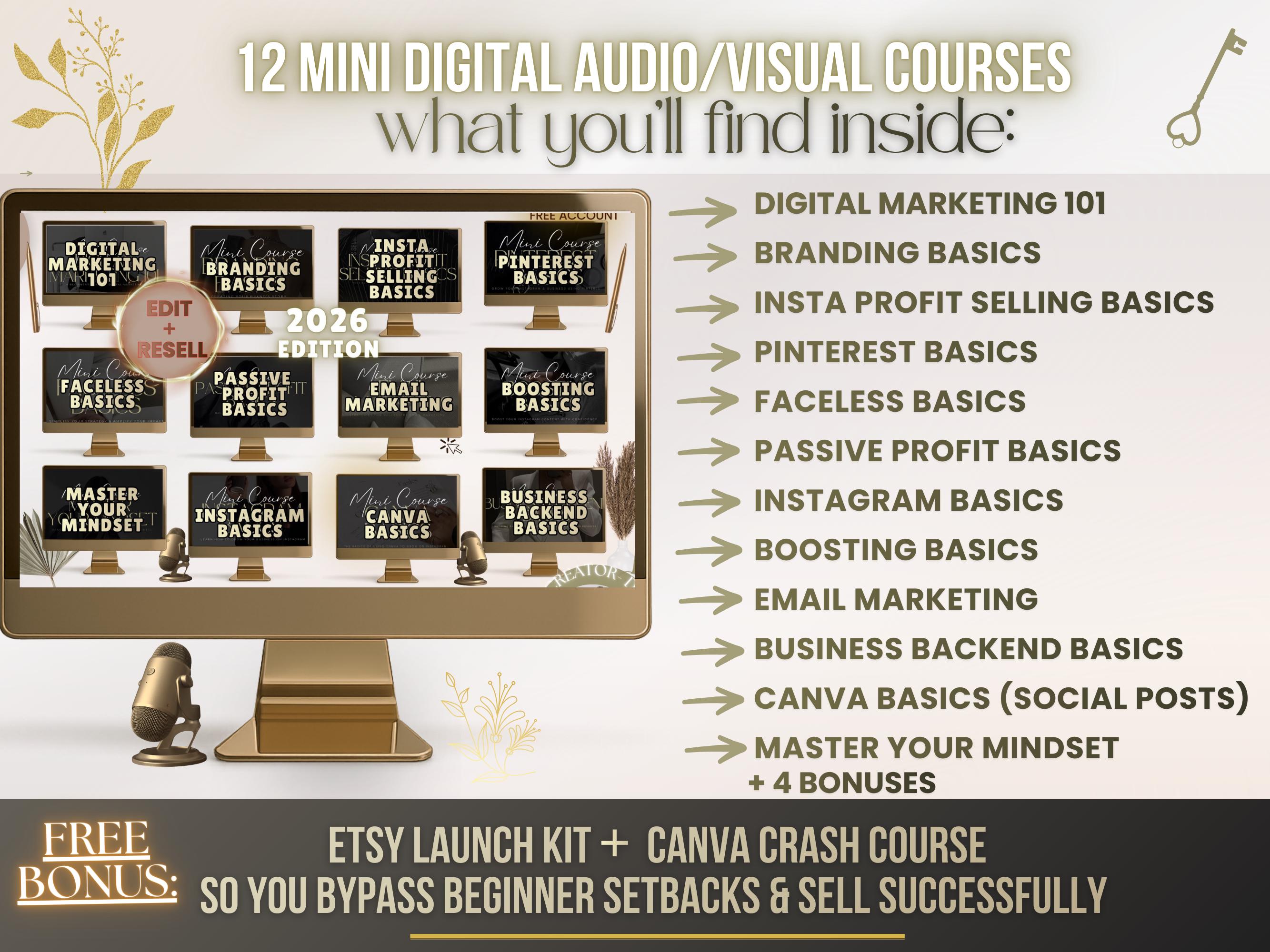12 Mini Courses Digital Marketing PLR Rights, MRR, Canva Editable ...