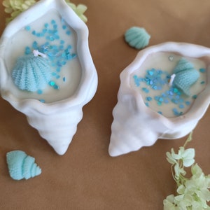 Soy candles, shell candles, plaster conch, scented candle, soy wax candle, scented candle, perfect gift, handmade candle.