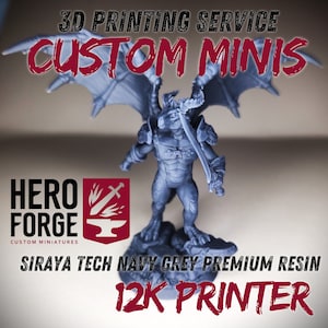 Custom TTRPG Miniature Printing Service - High-Quality 3D Printed Minis - Hero Forge - Eldritch Foundry - Desktop Hero - Hero Mini Maker