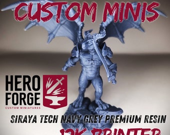 Custom 3D Printed Miniature – Hero Forge, TTRPG Mini Service
