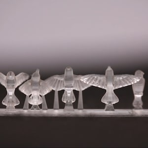 May include: A set of nine clear plastic bird figurines, each with a different pose, arranged on a clear plastic base. The birds are all facing forward, with their wings spread out.