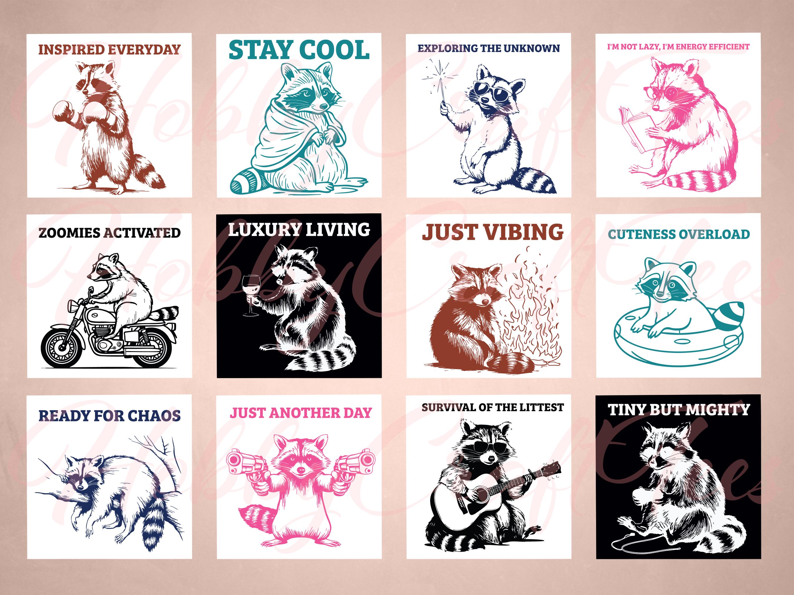 Raccoon PNG SVG Digital Download Bundle, 36 Raccoon Designs, 6 Colors ...