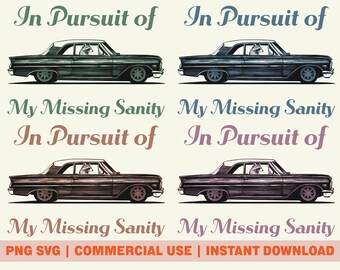 Raccoon Lowrider PNG SVG Digital Download, In Pursuit of My Missing Sanity, Funny Raccoon Meme PNG, Commercial Use Graphic, Trash Panda Art