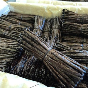 20 vanilla pods from Madagascar 10-12cm PREMIUM quality delivery included