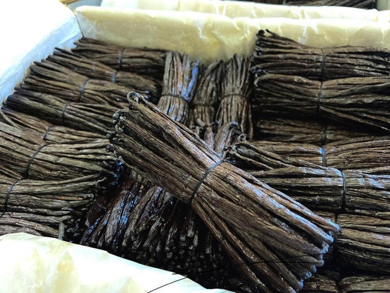 20 vanilla pods from Madagascar 10-12cm PREMIUM quality delivery included image 1