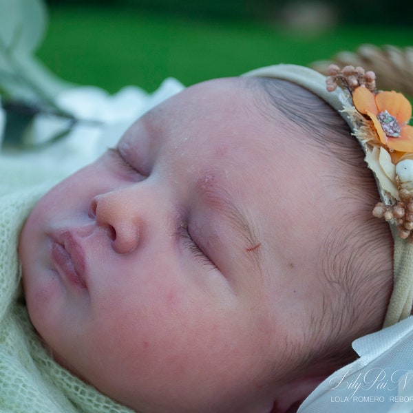 bebe reborn lily