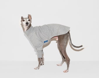 MOCKNECK SWEAT SHIRTS Gray,Whippet, Italian Greyhound Clothing