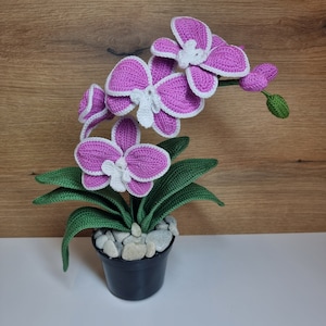 Crochet orchid in pot, Home Decoration, Home Desk Decor, Orchid Crocheted Flower, Gift Idea
