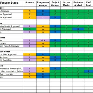 RACI Matrix Template excel PMI APM PRINCE2 Etsy