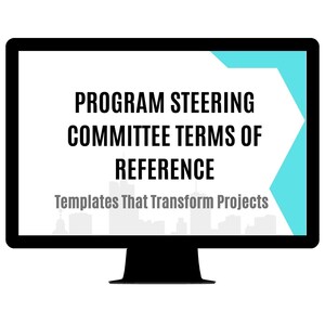 Mall för programstyrkommitténs mandat