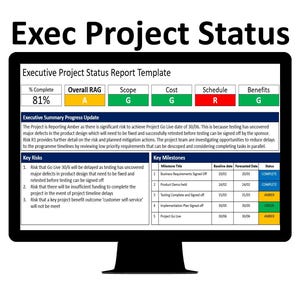 Executive Project Status Report Template PPT | Project Status Progress Report | Project Dashboard | Project PowerPoint Status Report