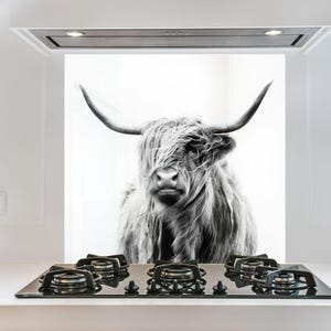 Scottish Highland Cow Tempered Glass Kitchen Backsplash