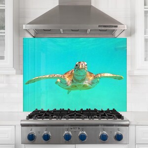 Sea Turtle Tempered Glass Kitchen Backsplash: Heat Resistant Stove Cover