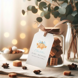 Op de afbeelding: Een glazen pot gevuld met vierkante koekjes, bedekt met een houten deksel en een label vastgebonden met een bruin lint. Op het label staat "Charlotte's BABY SHOWER THANKS FOR COMING!" en het heeft een pompoenillustratie.