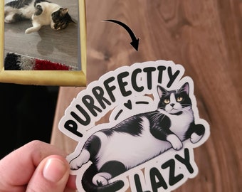 Custom Waterproof Stickers with Funny Captions - Laminated and Personalized for Pets or cars