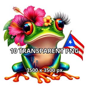 10 Porto Rico Coqui Png, Boricua Png, Puerto Rico Clipart, Boricua Clipart, Porto Rico Png, Coqui Png, Portoricain Png, Porto Rico Design