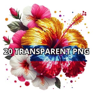 Colombian Hibiscus Png, 20 Png, Colombia, Colombia Png, Colombia Clipart, Colombiana Png, Colombian Png, Latina Clipart, Latina Png