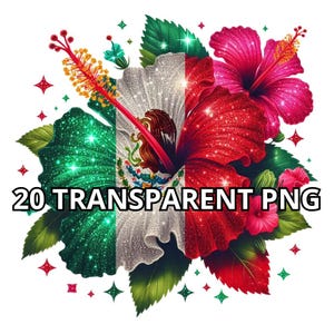 Mexican Hibiscus Png, 20 Png, Mexicana Png, Chicana Png, Latina Clipart, Chicana Clipart, Mexico Png, Mexican Png, Mexico Clipart, Latina