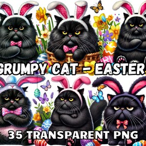 Chat grincheux Pâques, 35 PNG TRANSPARENT, Chat drôle Png, Chat grincheux Clipart, Chat Png, Chat Clipart, Chat drôle Clipart, Png de Pâques, Pâques drôle