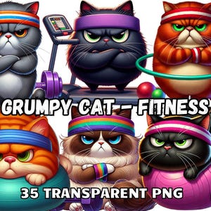 Könnte beinhalten: Ein Set mit 35 digitalen Bildern, die grantige Katzen in verschiedenen Fitness-Posen zeigen. Die Katzen tragen bunte Stirnbänder und halten Gewichte, benutzen Trainingsgeräte und machen Yoga-Posen. Die Bilder sind im PNG-Format und haben transparente Hintergründe.