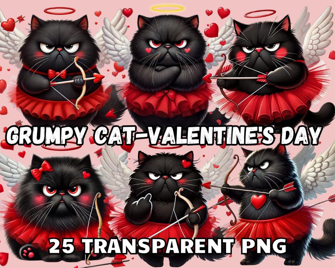 Grumpy Cat Valentine's Day, 25 TRANSPARENT PNG, Funny Cat Png, Grumpy ...