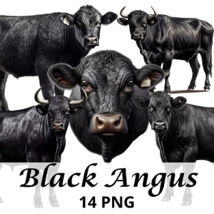 Black Angus Clipart, 14 PNG, Black Angus Png, Western Angus Png, Western Png, Cow Clipart, Ganado Clipart, Diseño de Sublimación, Ganado Png