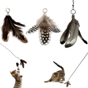 Feather Cat Toy Attachment Set (3 Pieces) – Natural and Durable for Interactive Play – Compatible with Forever Stick & Most Cat Wands