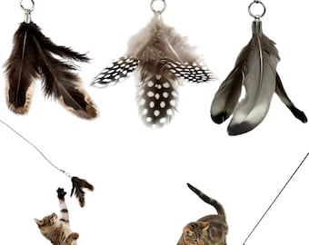 Feather Cat Toy Attachment Set (3 Pieces) – Natural and Durable for Interactive Play – Compatible with Forever Stick & Most Cat Wands