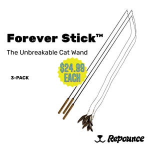 3-Pack: The Unbreakable Cat Wand, Forever Stick by Repounce - All-in-One Durable Wand Cat Toy And Cat String Toy - Cat Toys for Indoor Cats