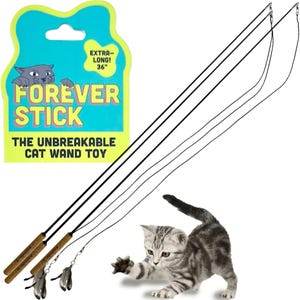 May include: A cat wand toy with a black rod, brown handle, and feather attachments. The packaging reads "Forever Stick" and "The Unbreakable Cat Wand Toy". The wand is 36 inches long.