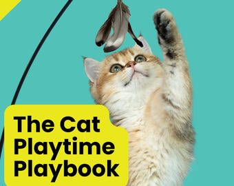 The Cat Playtime Playbook: Mastering the Art of Play for a Happy, Healthy Cat [E-Book, PDF, eBook, Book, EPUB, Cat care, Cat owner, Kitten]