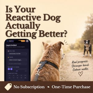 May include: An advertisement features a dog wearing a harness, looking towards another dog on a path. The image includes a phone displaying an app interface with the text "Is Your Reactive Dog Actually Getting Better?" and "No Subscription • One-Time Purchase."