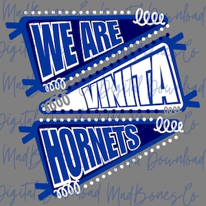 We Are Vinita Hornets Pennant Flag PNG, Hornets Shirt Design PNG, Digital Download