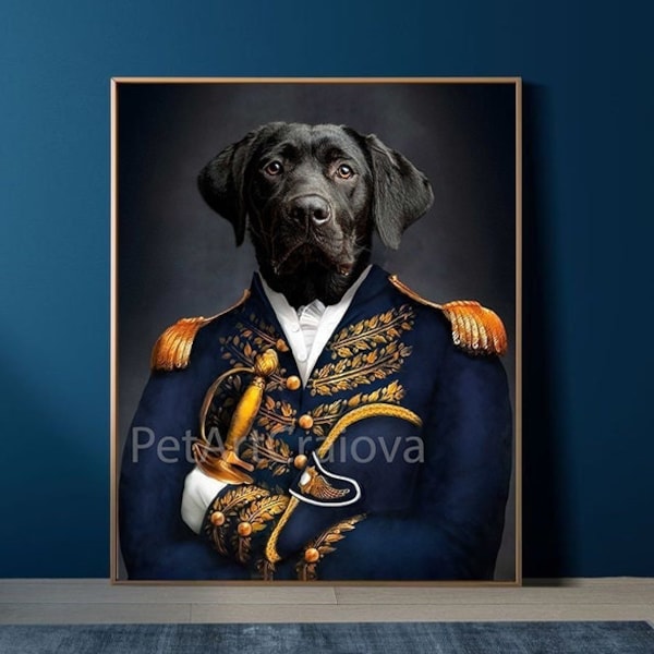 Military General Costume - Etsy