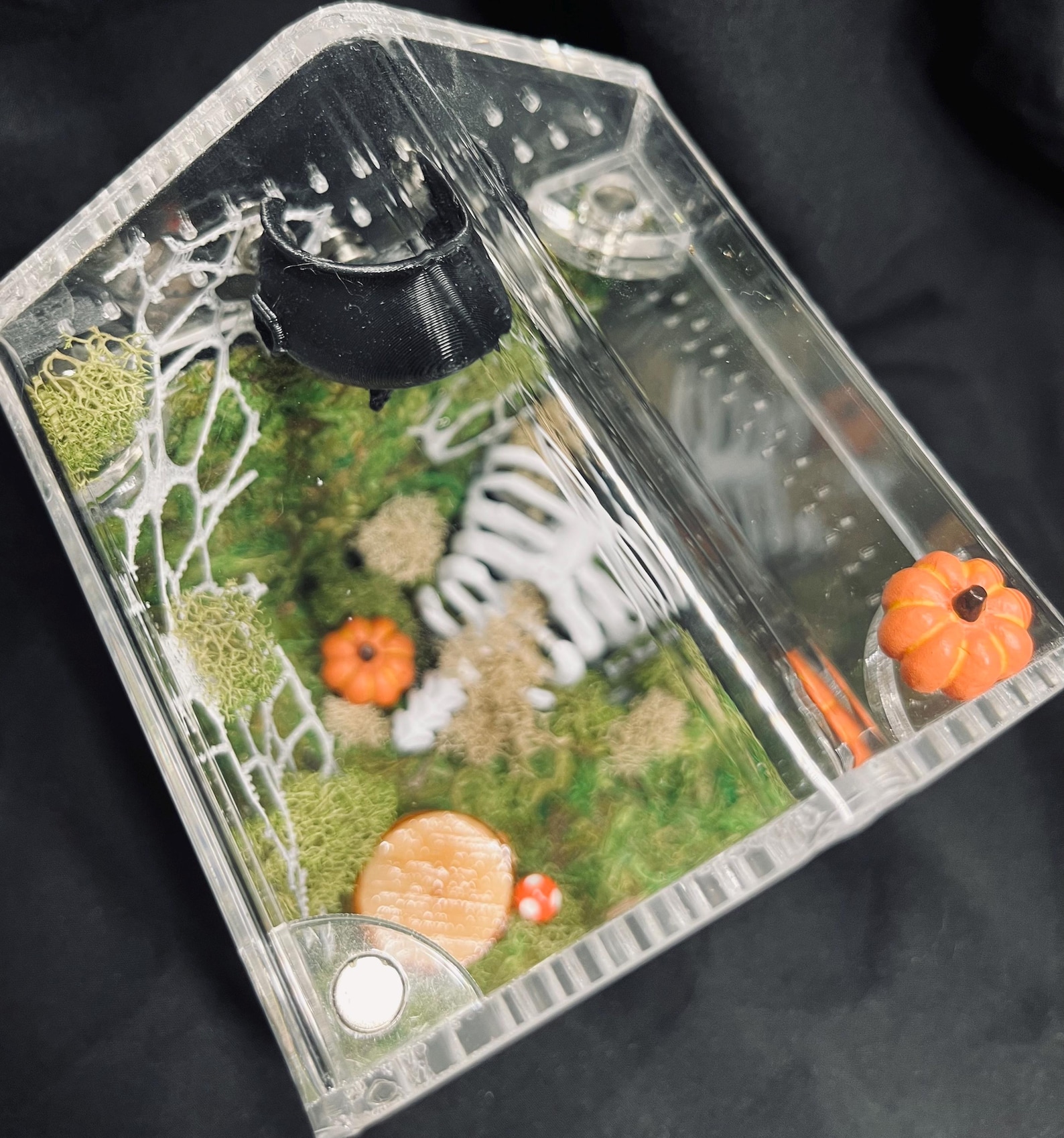 Custom Jumping Spider Enclosure - *DEPOSIT* - *please Read Description