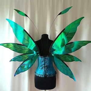May include: A pair of iridescent green fairy wings with black veins and a teal blue corset.