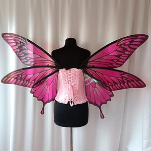 Iridescent Pink Butterfly Wings: Adult Fairy Costume, Renaissance Fair