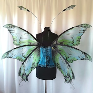 Könnte beinhalten: Ein Paar große, grüne und blaue Schmetterlingsflügel mit einem schwarzen Korsett in der Mitte. Die Flügel sind aus Stoff und haben ein realistisches Schmetterlingsdesign.