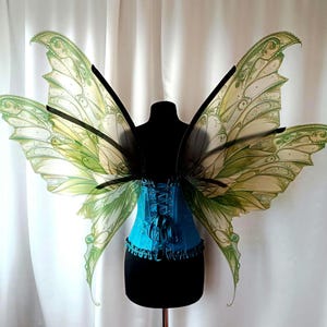Large green forest fairy wings with a fantasy pattern for the Ren Fair for an adult costume.