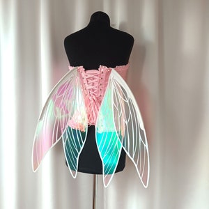 Transparent realistic fairy wings for costume on Renaissance Festival,  Halloween
