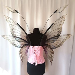 May include: A pair of large, iridescent butterfly wings with black veins and a pink corset. The wings are made of sheer fabric and have a delicate, ethereal look.