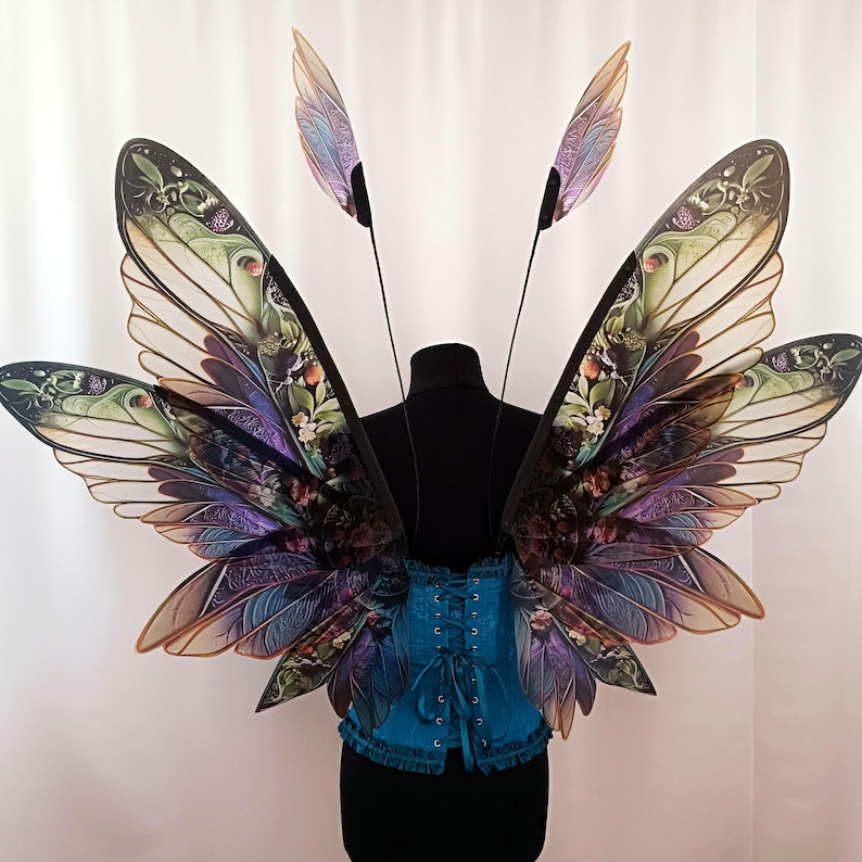 The wings consist of two larger and two smaller scales. There are long antennae on top.
