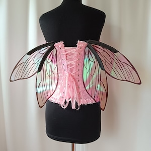 The mini elf wings are transparent with a black outline, pixie wings on halloween