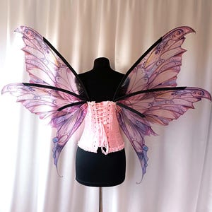 Könnte beinhalten: Ein Paar rosa und violette Feenflügel mit schwarzen Drahtstützen. Die Flügel bestehen aus durchsichtigem Stoff mit filigranen Details und sind an einem schwarzen Korsett befestigt.