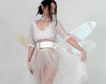 Große irisierende Libellenflügel: Cosplay Kostüm Accessoire