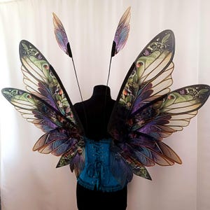 K&ouml;nnte beinhalten: Ein Paar gro&szlig;e, schillernde Schmetterlingsfl&uuml;gel mit filigranen Details und einem Farbspiel aus Gr&uuml;n, Lila und Gold. Die Fl&uuml;gel sind an einem schwarzen Mannequin-Torso befestigt, der ein blaues Korsett tr&auml;gt.