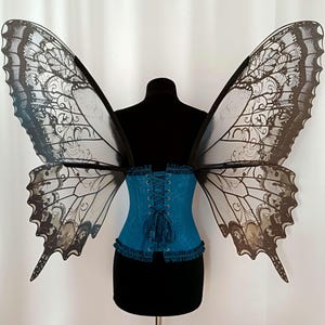 Gothic Butterfly Wings: Transparent Black Plastic Costume Wings